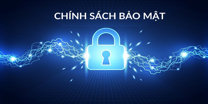 Trách nhiệm của thành viên về chính sách bảo mật VIP79